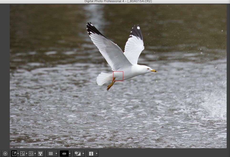 IMAGE: http://i33.photobucket.com/albums/d74/Zenon1/7D2/St%20V/more/AF/2_zpsdomp5j5i.jpg