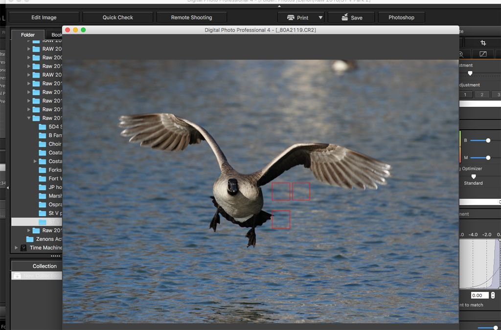 IMAGE: http://i33.photobucket.com/albums/d74/Zenon1/7D2/St%20V/more/AF/Screen-Shot-2017-01-06-at-8.33.05-PM_zpszbo4orte.jpg~original