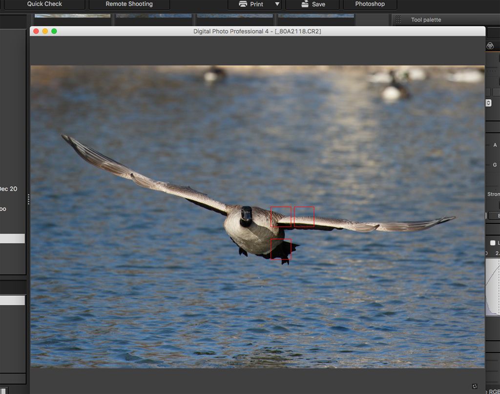 IMAGE: http://i33.photobucket.com/albums/d74/Zenon1/7D2/St%20V/more/AF/Screen-Shot-2017-01-06-at-8.34.26-PM_zps51k05agc.jpg~original