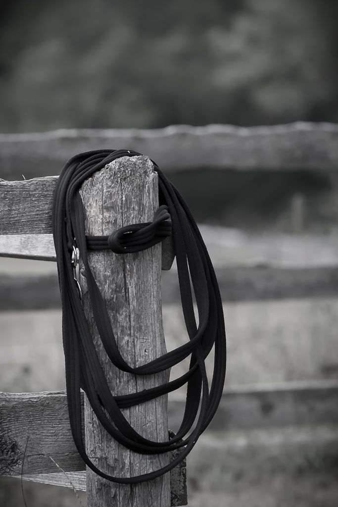 IMAGE: http://i33.photobucket.com/albums/d74/Zenon1/7D2/_80A1643_zpst1e0rxb2.jpg~original