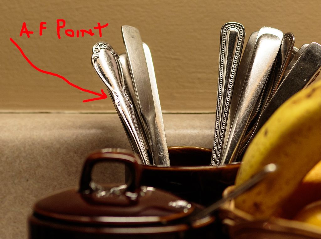 IMAGE: http://i33.photobucket.com/albums/d74/Zenon1/7D2/_80A4108_zps12f7d2c0.jpg