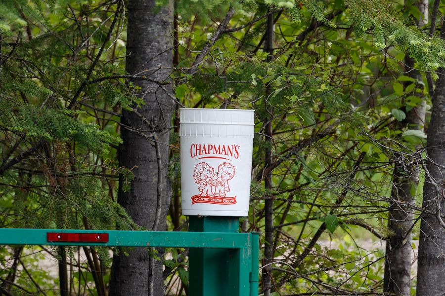 IMAGE: http://i33.photobucket.com/albums/d74/Zenon1/7D2/_80A5875_zpsae7tzrws.jpg~original