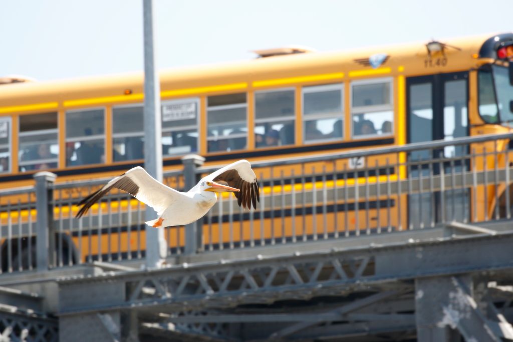 IMAGE: http://i33.photobucket.com/albums/d74/Zenon1/7D2/_80A6322_zpsgkujj49l.jpg~original