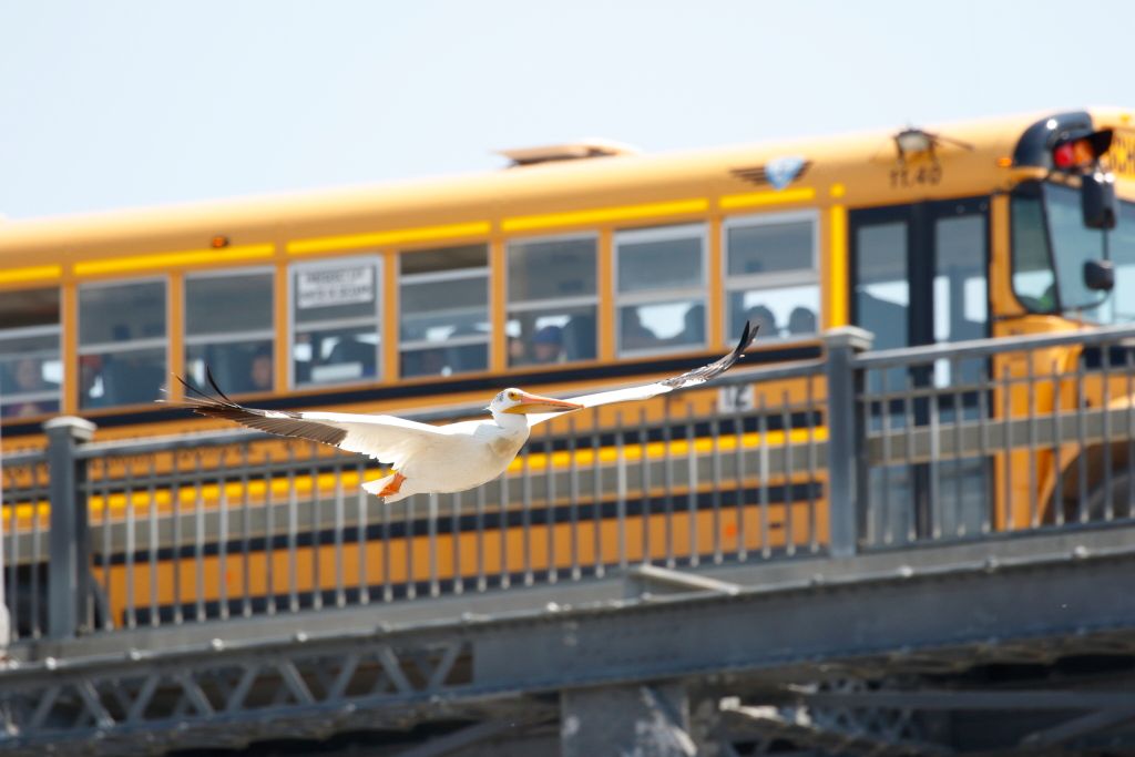 IMAGE: http://i33.photobucket.com/albums/d74/Zenon1/7D2/_80A6323_zpsya1pvf7c.jpg~original