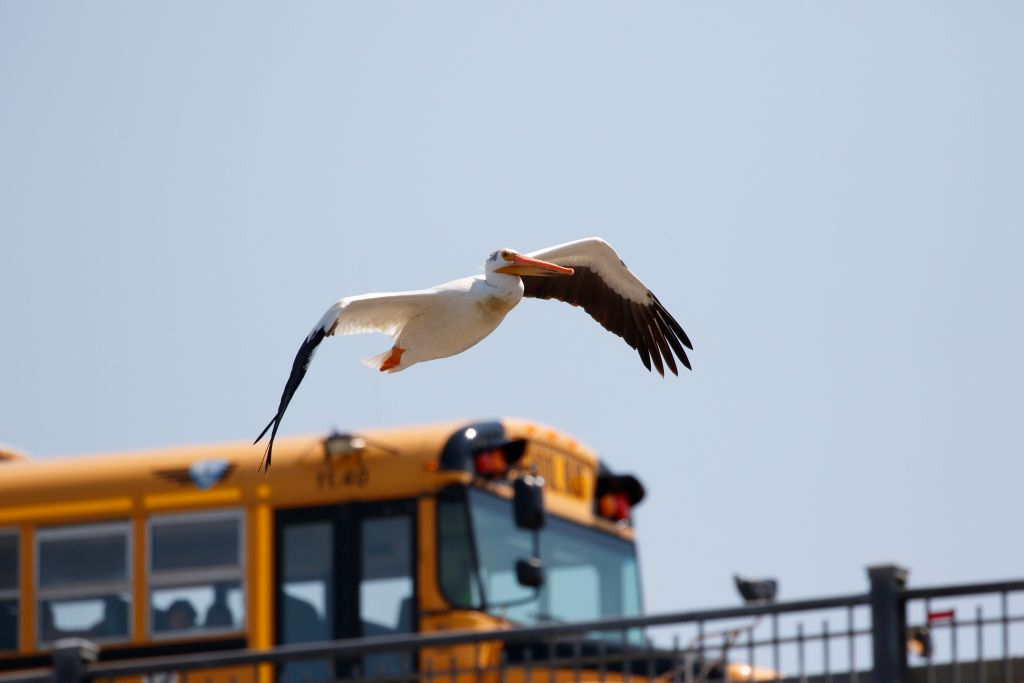 IMAGE: http://i33.photobucket.com/albums/d74/Zenon1/7D2/_80A6325_zpsg0rzqoki.jpg~original