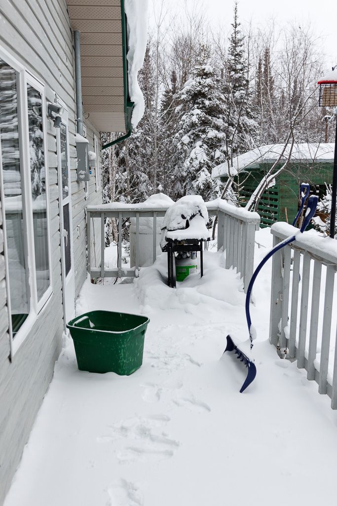 IMAGE: http://i33.photobucket.com/albums/d74/Zenon1/7D2/bird/Add%20Title%20-%20002_zps5cx18ml0.jpg~original