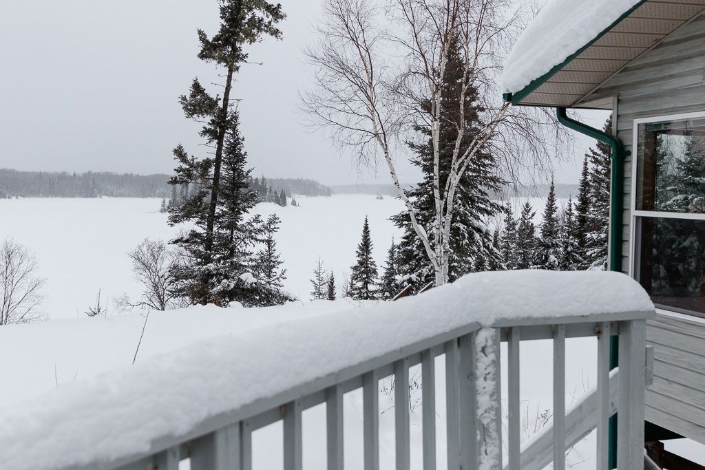 IMAGE: http://i33.photobucket.com/albums/d74/Zenon1/7D2/bird/Add%20Title%20-%20003_zpsncix9zgb.jpg~original