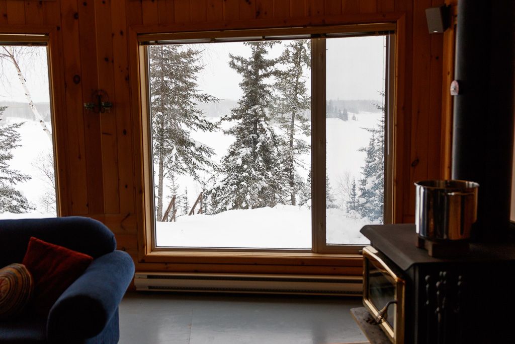 IMAGE: http://i33.photobucket.com/albums/d74/Zenon1/7D2/bird/Add%20Title%20-%20004_zpspoeafeus.jpg~original