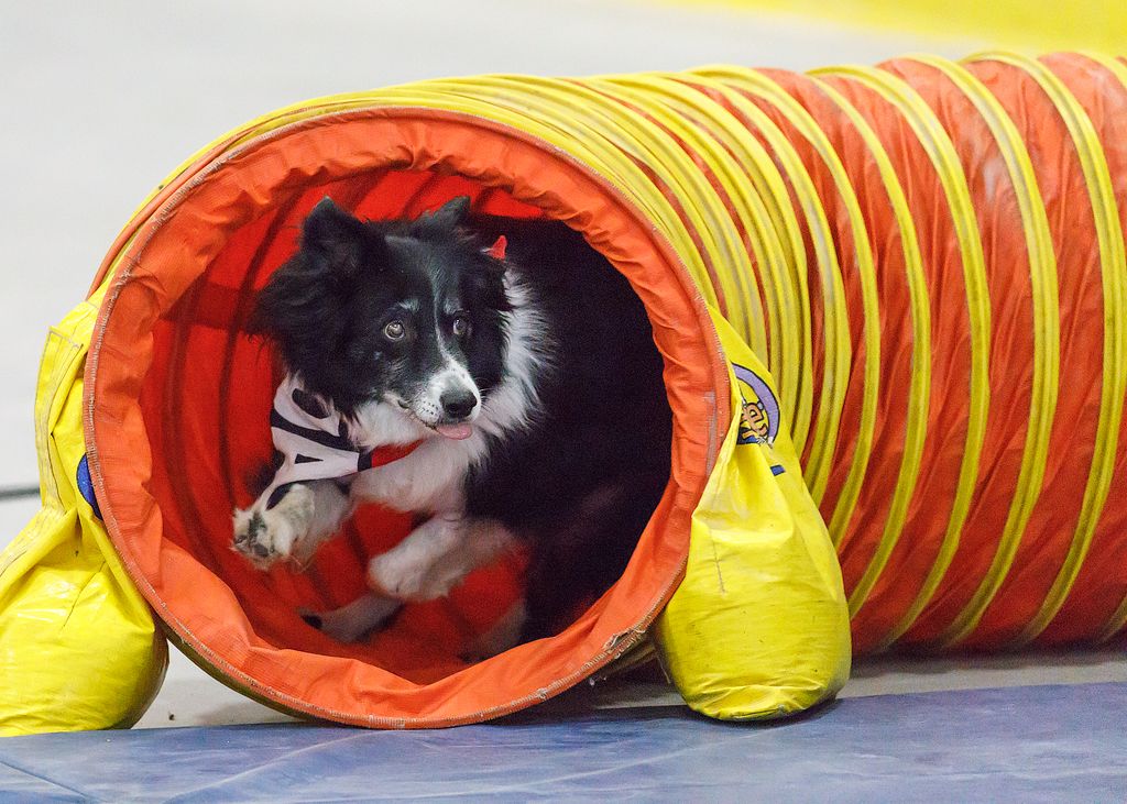 IMAGE: http://i33.photobucket.com/albums/d74/Zenon1/ACR_zpss1kbfesg.jpg~original