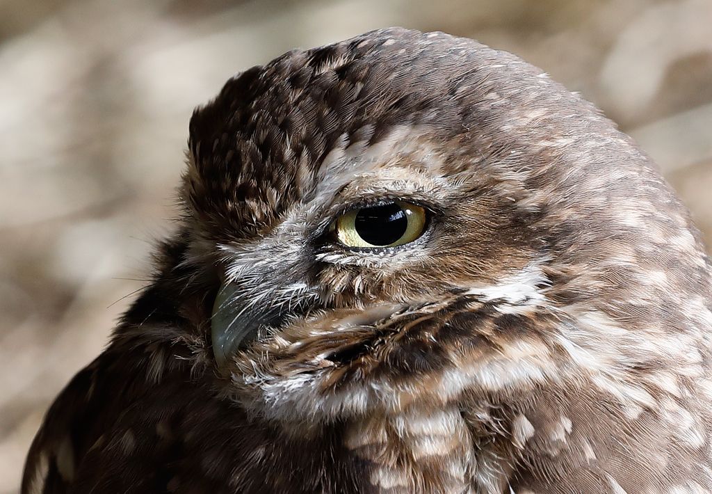 IMAGE: http://i33.photobucket.com/albums/d74/Zenon1/DPP/new/fin_zps2g7fkiab.jpg~original