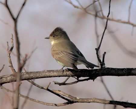 IMAGE: http://i33.photobucket.com/albums/d74/Zenon1/EAPH_03i.jpg