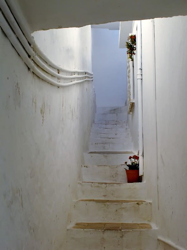 IMAGE: http://i33.photobucket.com/albums/d74/Zenon1/IMG_0594.jpg