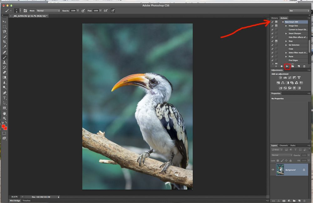 IMAGE: http://i33.photobucket.com/albums/d74/Zenon1/New%20RSS/Image-1_zps54c87e26.jpg