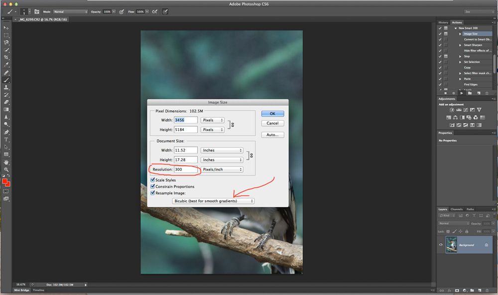 IMAGE: http://i33.photobucket.com/albums/d74/Zenon1/New%20RSS/Image-2_zpsa4a0c90d.jpg