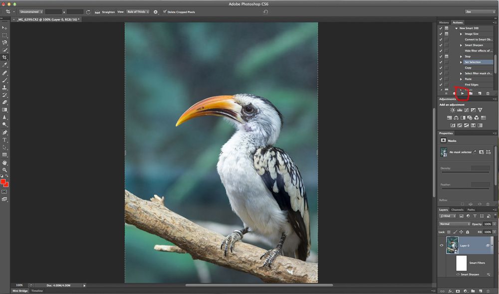 IMAGE: http://i33.photobucket.com/albums/d74/Zenon1/New%20RSS/Image-4_zps676fc86e.jpg