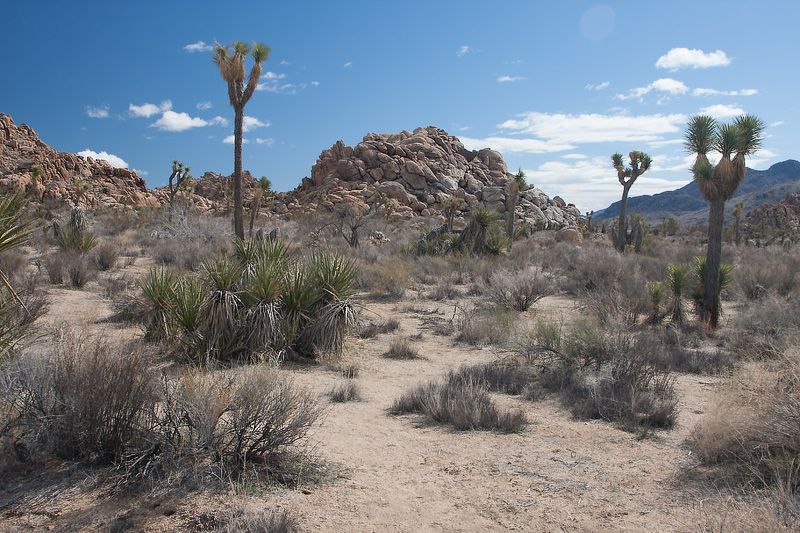 IMAGE: http://i33.photobucket.com/albums/d74/Zenon1/Tests/_MG_0457_zps049e99fc.jpg