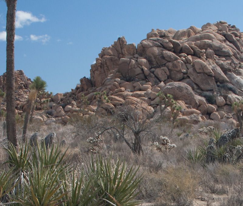 IMAGE: http://i33.photobucket.com/albums/d74/Zenon1/Tests/cen_zps4519d673.jpg