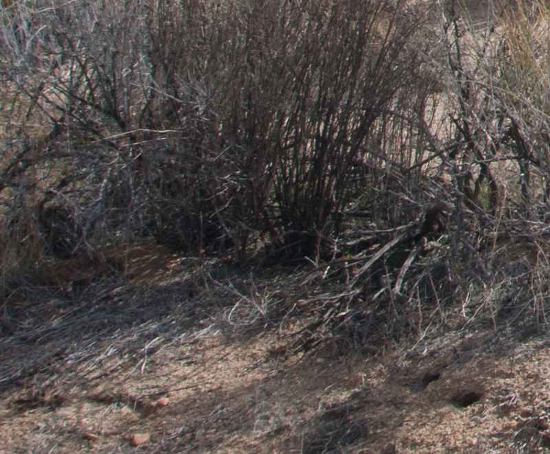 IMAGE: http://i33.photobucket.com/albums/d74/Zenon1/Tests/cr_zpsa0ea857a.jpg