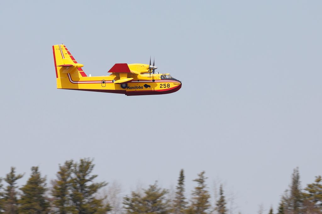 IMAGE: http://i33.photobucket.com/albums/d74/Zenon1/_I9A5411_zpscy1cooct.jpg~original