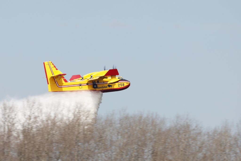 IMAGE: http://i33.photobucket.com/albums/d74/Zenon1/_I9A5470_zpsvbanh79v.jpg~original