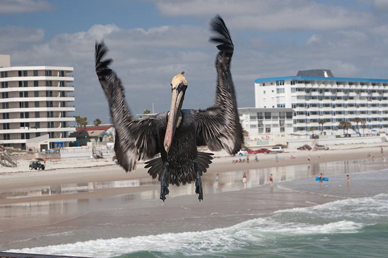 IMAGE: http://i33.photobucket.com/albums/d74/Zenon1/_MG_6411.jpg~original