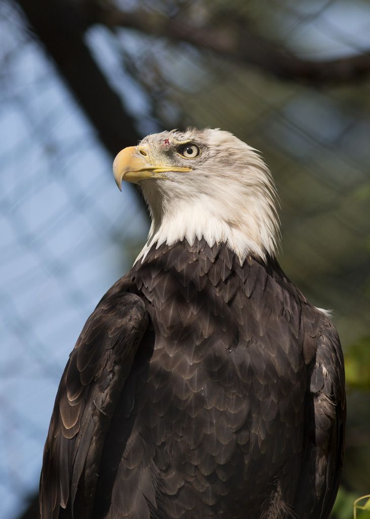 IMAGE: http://i33.photobucket.com/albums/d74/Zenon1/_S7A8720-copy.jpg