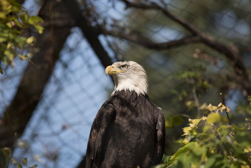 IMAGE: http://i33.photobucket.com/albums/d74/Zenon1/_S7A8720.jpg