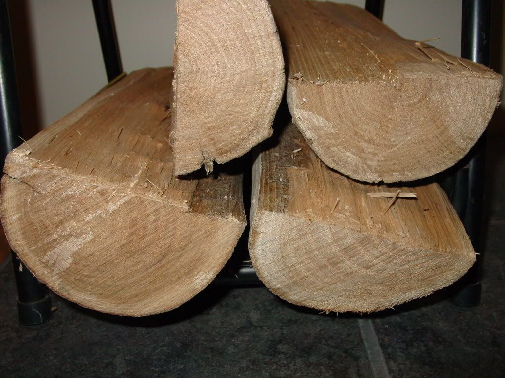 My Scientific Observation Burning elm sucks Page 2