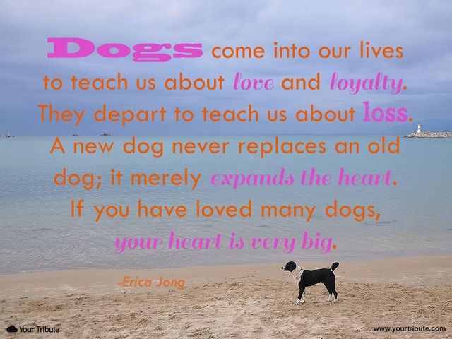 Erica-Jong-Dogs-come-into-our-lives_zpsi