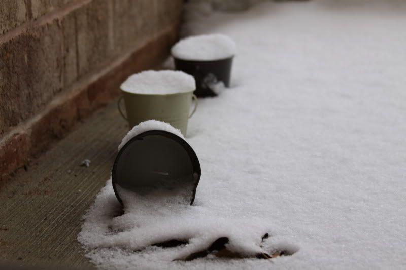 IMAGE: http://i33.photobucket.com/albums/d77/DKMoy118/Photography/IMG_2399.jpg