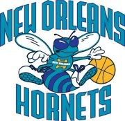 Da Hornets Pictures, Images and Photos