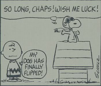 CompletePeanuts19651966SnoopySopwit.jpg