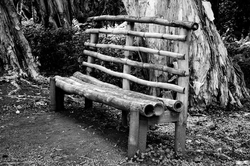 IMAGE: http://i33.photobucket.com/albums/d77/rickrockin/IMG_4890v2copy.jpg