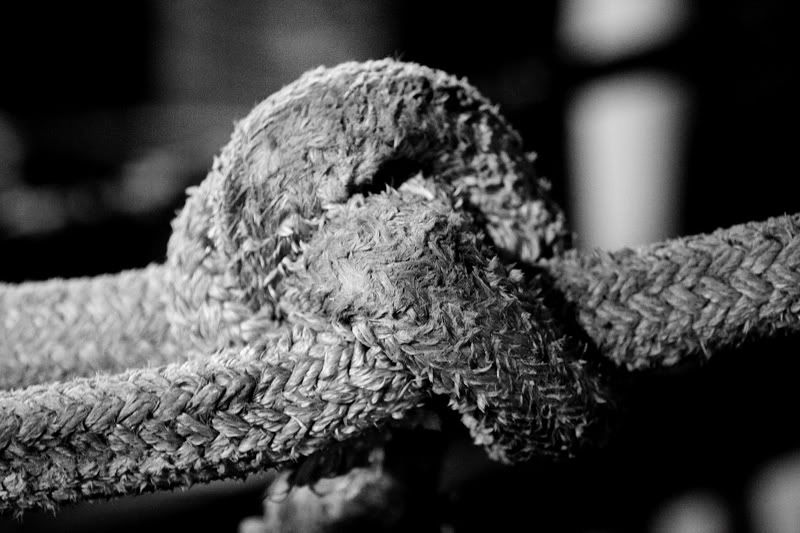 IMAGE: http://i33.photobucket.com/albums/d77/rickrockin/IMG_4927copy.jpg