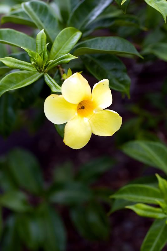 IMAGE: http://i33.photobucket.com/albums/d77/rickrockin/QB9K0003.jpg