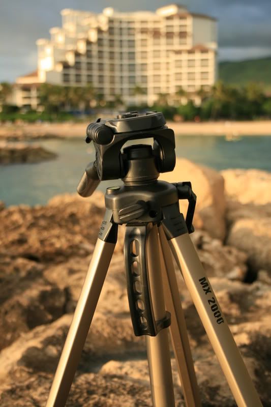 IMAGE: http://i33.photobucket.com/albums/d77/rickrockin/Random/IMG_0470.jpg