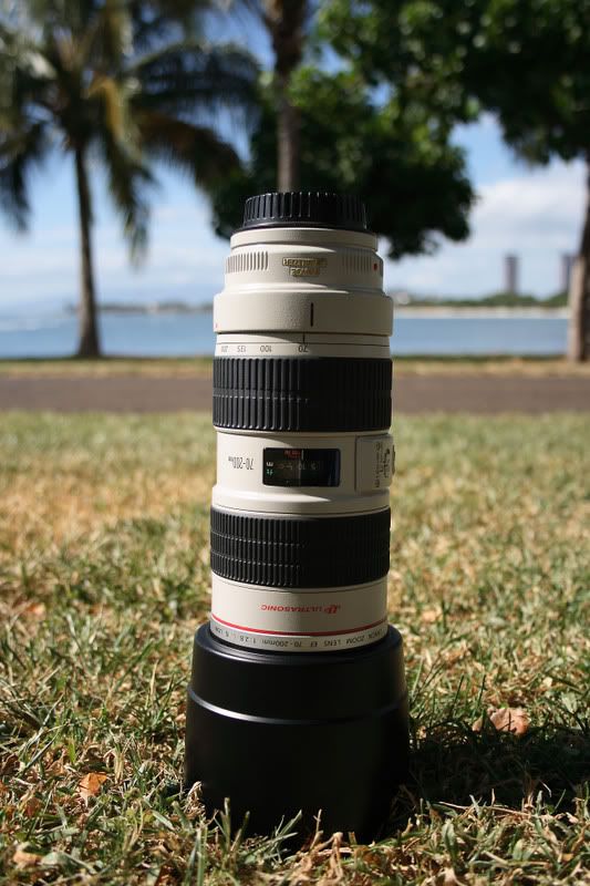 IMAGE: http://i33.photobucket.com/albums/d77/rickrockin/Untitled.jpg