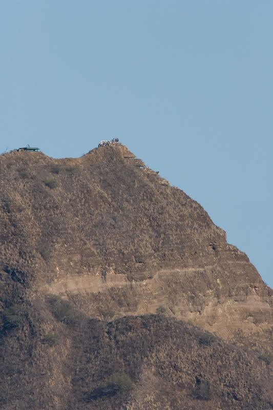 IMAGE: http://i33.photobucket.com/albums/d77/rickrockin/_B9K0095_2x_1x.jpg