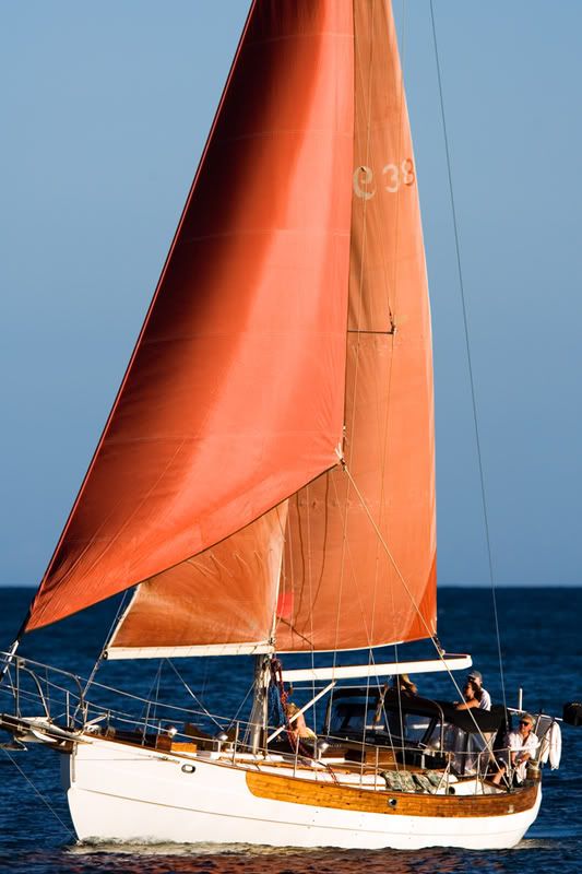 IMAGE: http://i33.photobucket.com/albums/d77/rickrockin/_B9K0182_1x.jpg