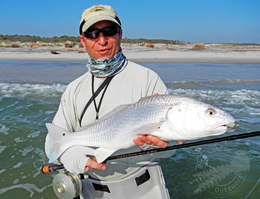 4Surf5612.jpg