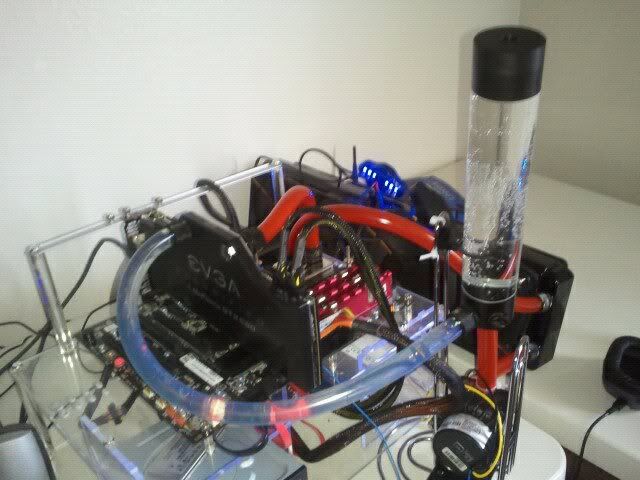 247254_561201865483_68201122_31579207_8111077_n.jpg