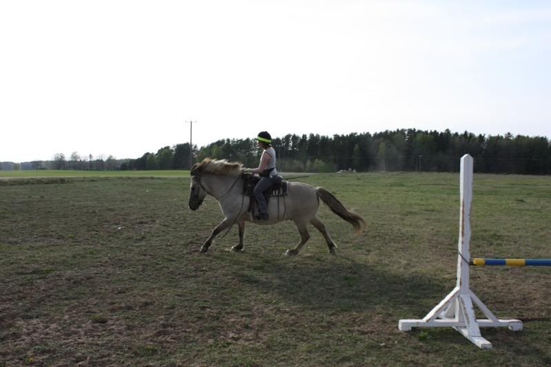 2maj-0921.jpg