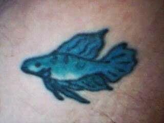 9.jpg Betta tat image by piersyn