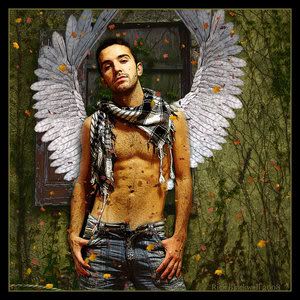 http://i33.photobucket.com/albums/d82/trunks8023/9a0929652cc678ef3e63175496669cf7.jpg?t=1267976936