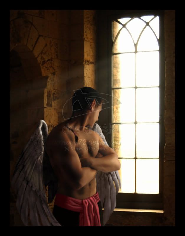 Aetherii___The_Winged_Ones_by_Sunst.jpg picture by trunks8023
