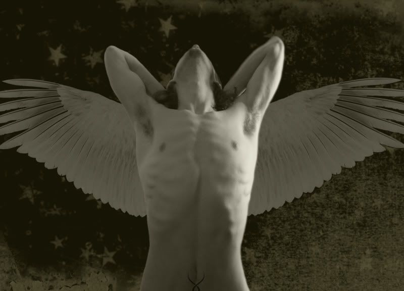 Angst_of_An_Angel_by_doggirlinu.jpg picture by trunks8023