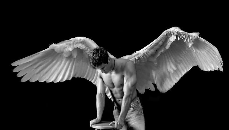 Beefcake_Angel_by_MistressOfMold.jpg picture by trunks8023