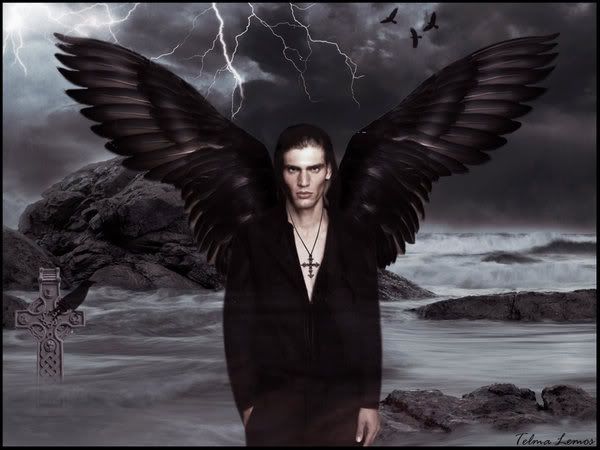 Dark_angel_by_tropicalfairy.jpg picture by trunks8023