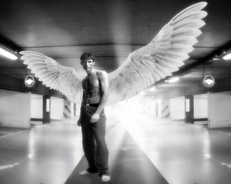 Earth_Angel_by_husz-1.jpg picture by trunks8023