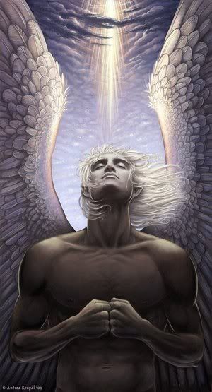 MaleAngel.jpg picture by trunks8023